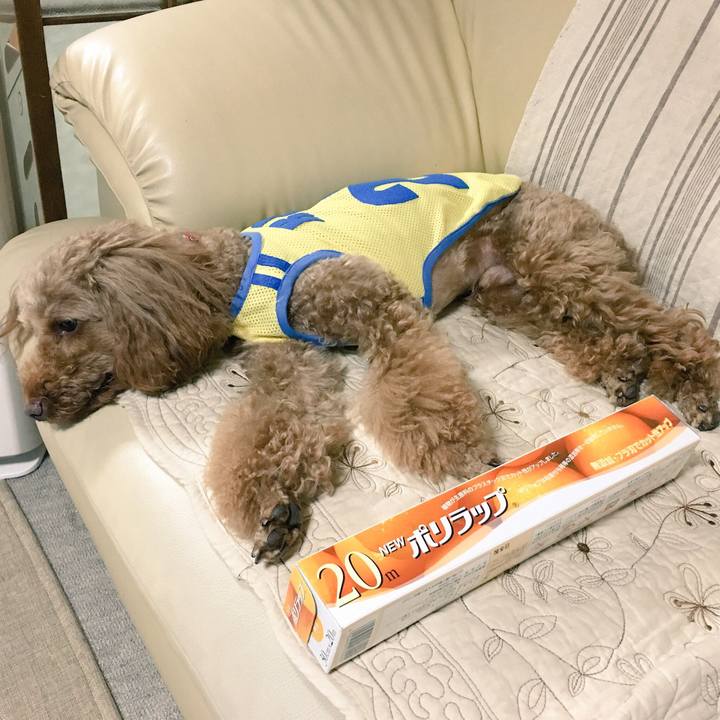 D0906e69 f508 4630 b3cc 2fe53024804b