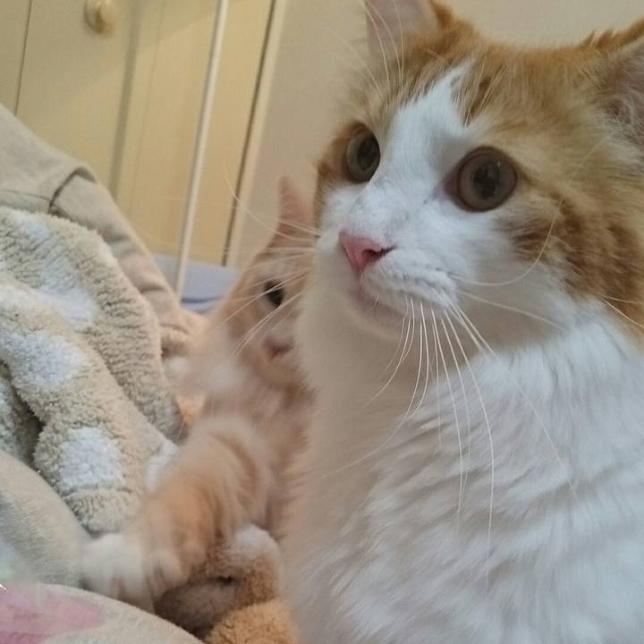 D090c168 2dbf 4865 bf1c aa393fb4133c