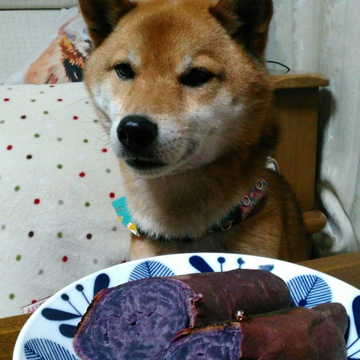 D090f40f 26f4 4a21 a01d 6c877650b8b2