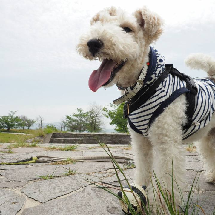 D0914c5f d6e1 44de b953 9819cf26b972