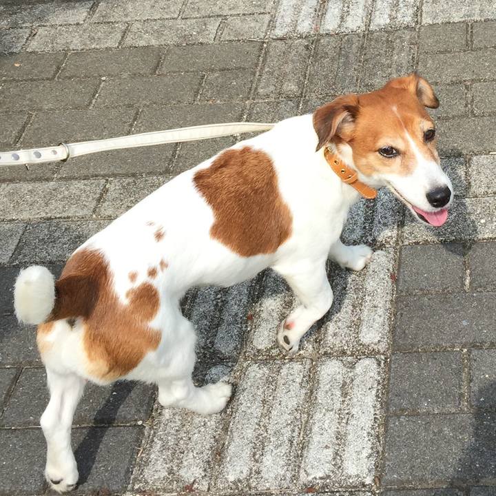 D0916aa4 e521 4ba8 9fe6 fbb4e3571c13