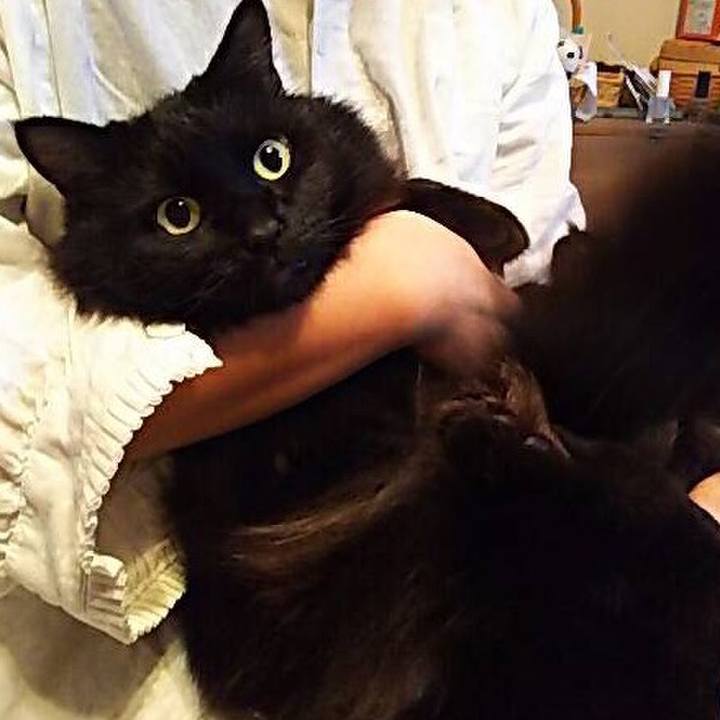 D0924919 e764 4e23 b6d2 820533c89a70