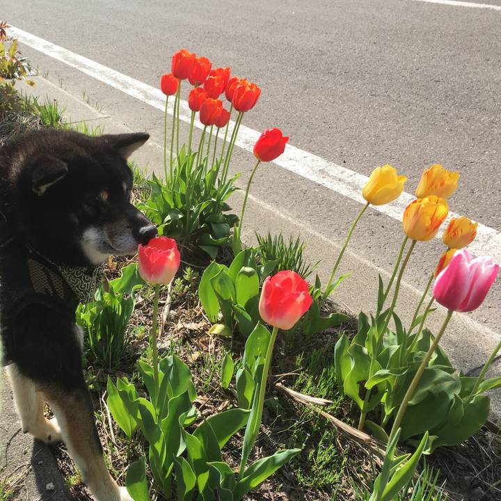 D0932a49 4635 4bf4 bb74 b379c5c5e382