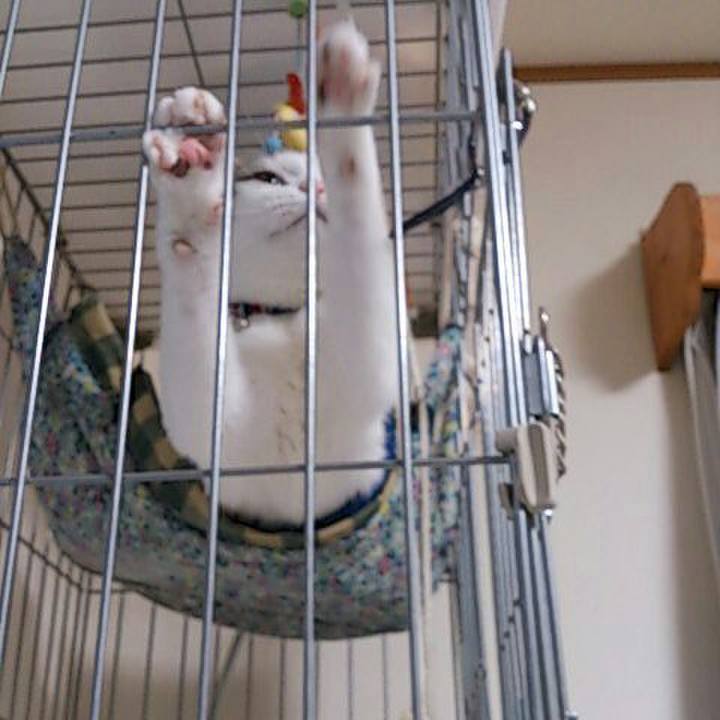 D0933b99 7b87 4529 98cd 236c14386bff