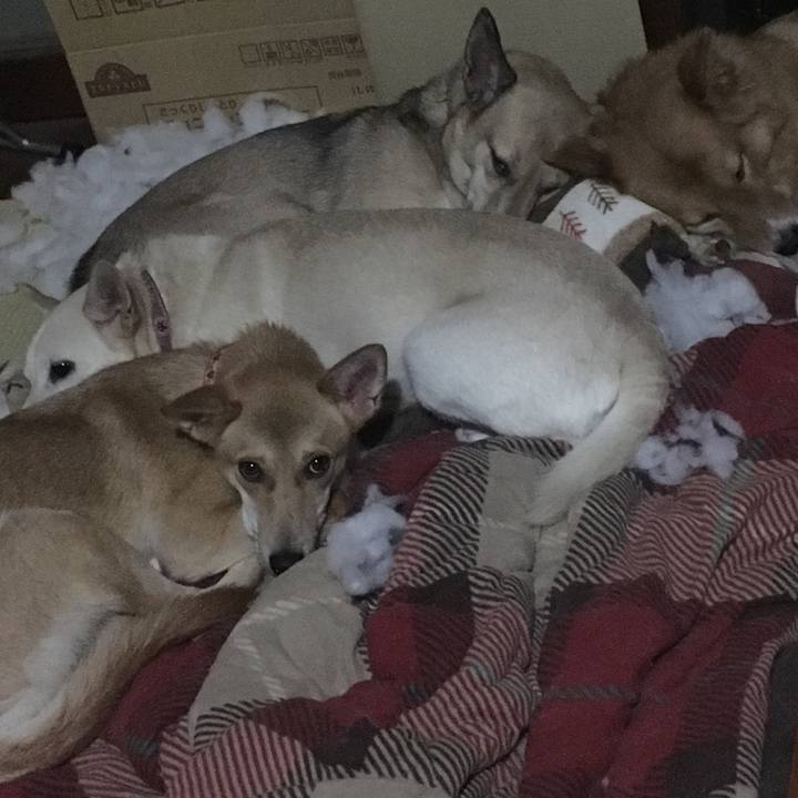 D093a307 a3e5 46bd 8956 4b1a1a8a6271