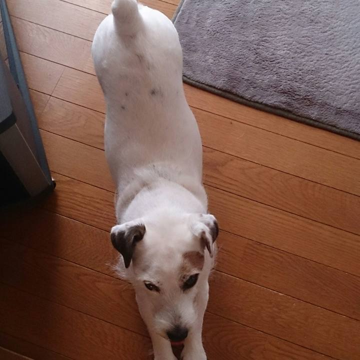 D093a8c5 9e5e 494f a967 d4345cca32cf