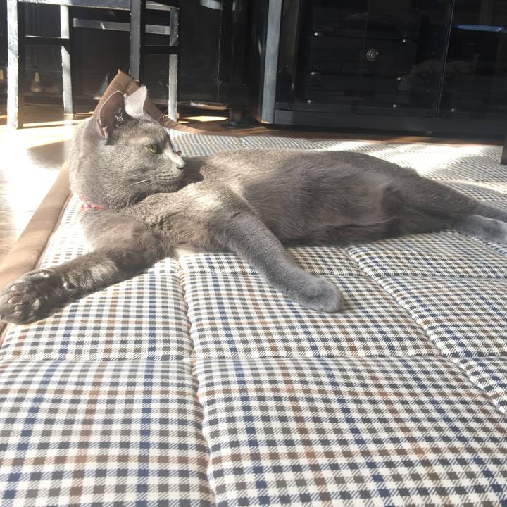 D093d2af 66cd 43fc 814a df189e5b9732