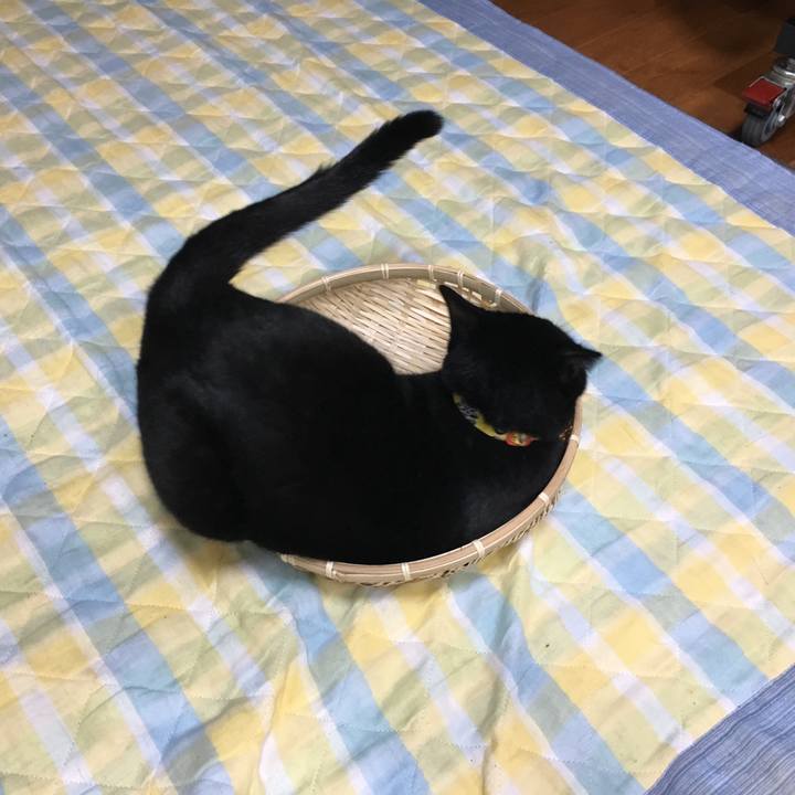 D094526e 7828 4e24 b37e b7c903378061