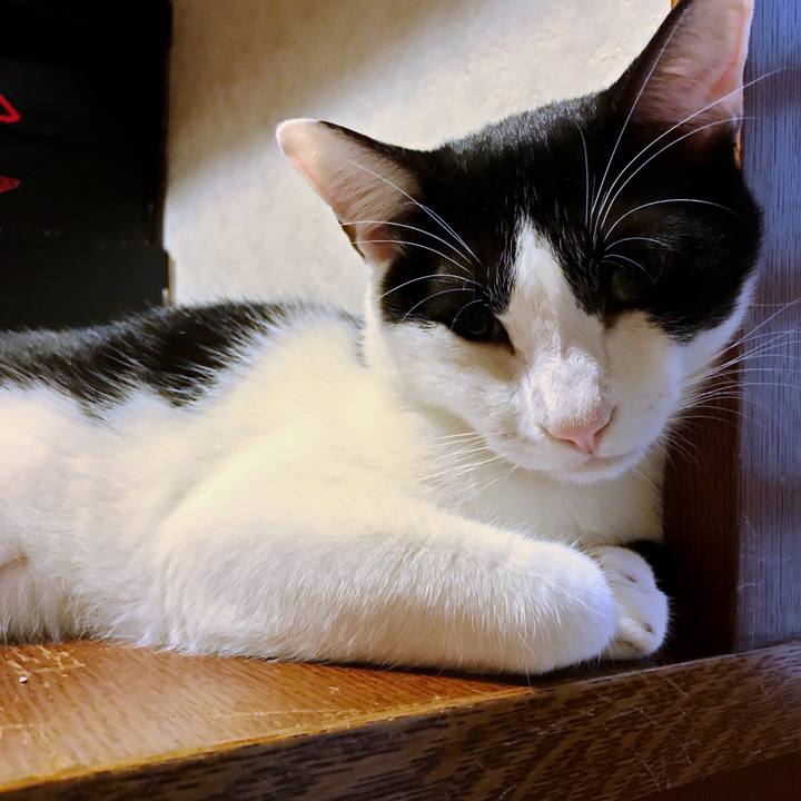 D0957e0d 57c3 40d0 8c7e dff1a3b98a9f