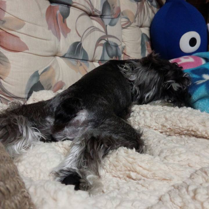 D095bbd2 b674 4c28 aada 1d75633fdd88