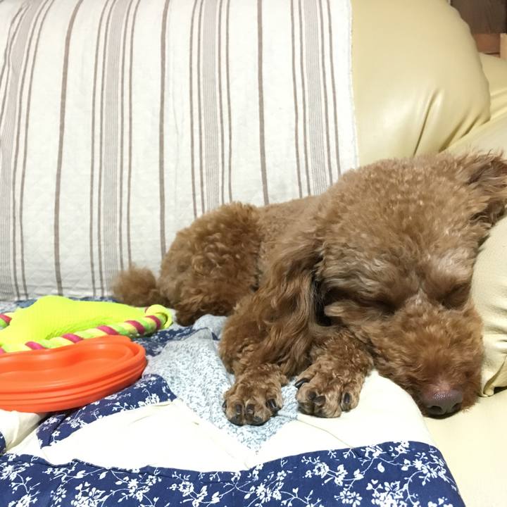 D09604e4 5749 426a 8e74 a1c3c333b30f