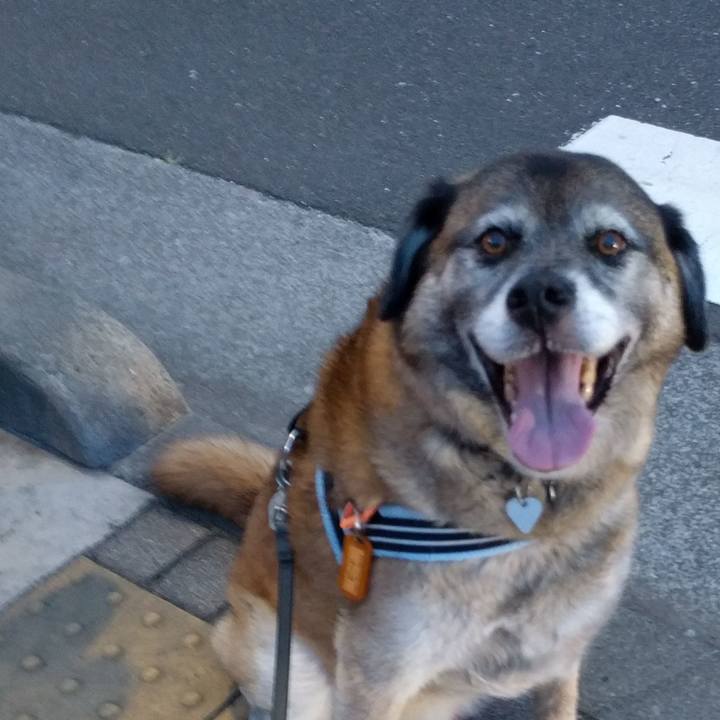 D0976543 e74d 46e9 a773 c1eabcd8ff3a