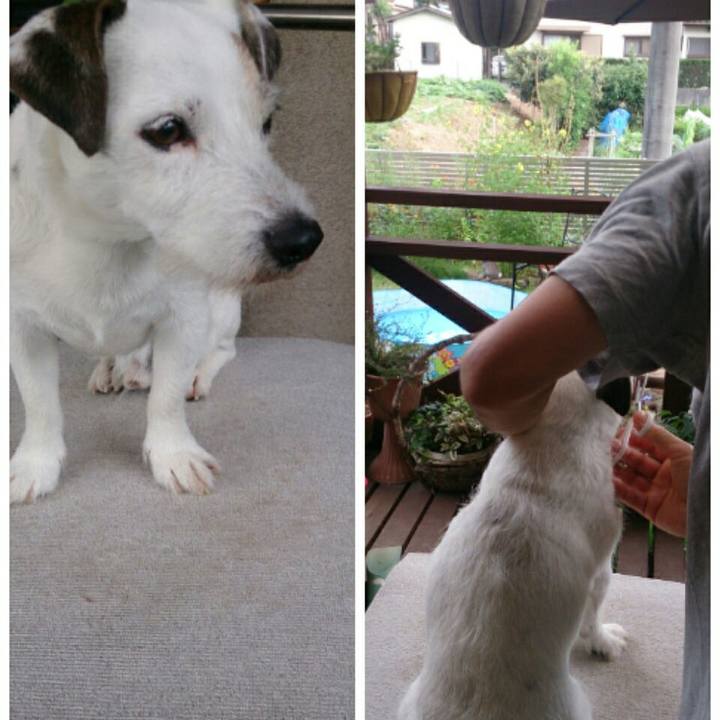 D097ccdc 3232 464f 95ce 5189f532527a