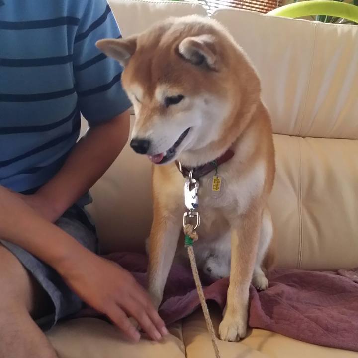 D0982ccb 329f 4022 9afb 15e7b6016d8f