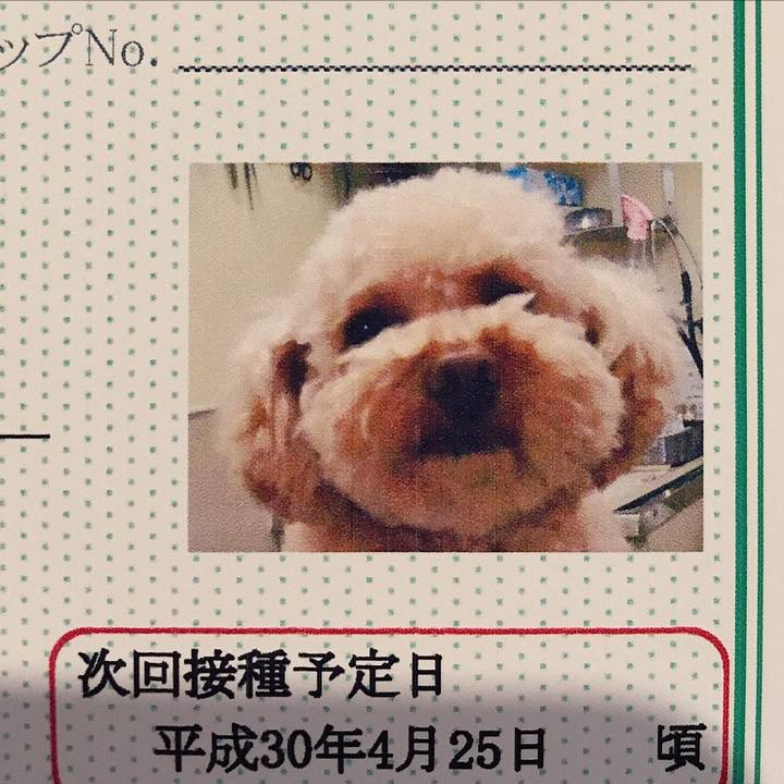 D0989882 69c2 4878 9a7f 28208827b947