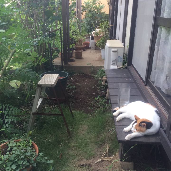 D098aecf 22b4 450b 83d1 727cdebfe99a