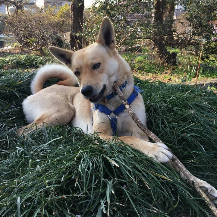 D09a5d07 83af 4f25 b87d cb3b281023af