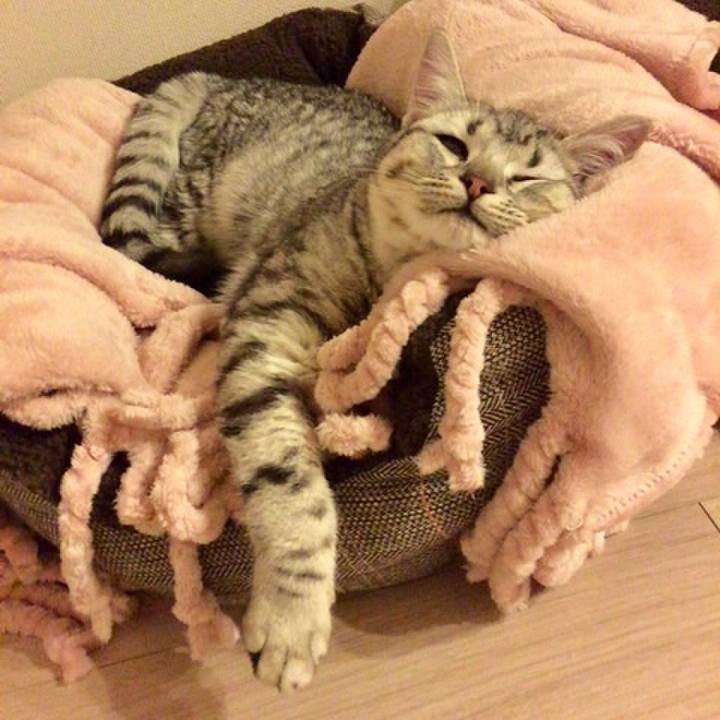 D09a6d6c 23ac 47ec bfff a8f10e765a58