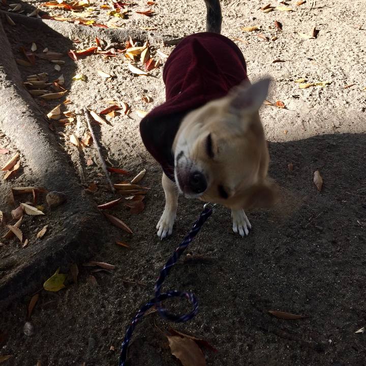 D09a9f11 7b10 484b bcd8 b41bbd9b2662