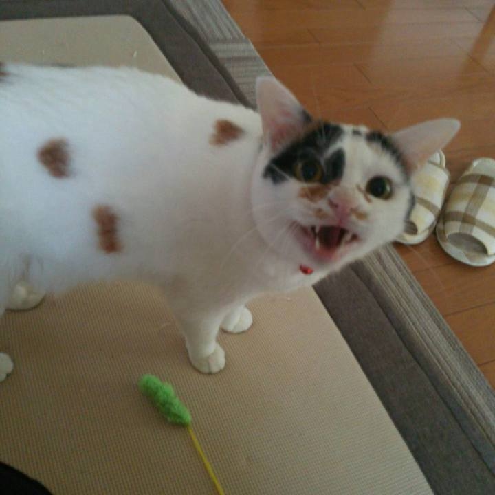 D09aa1e6 80a1 4814 a31d a876b6240818