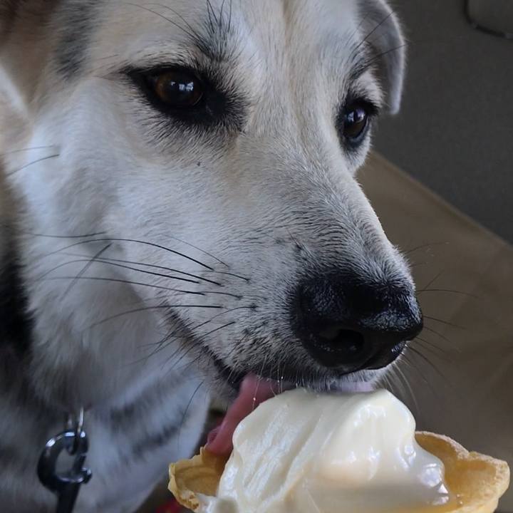 D09aaae0 4fc0 478a a92e d90b18281b9c