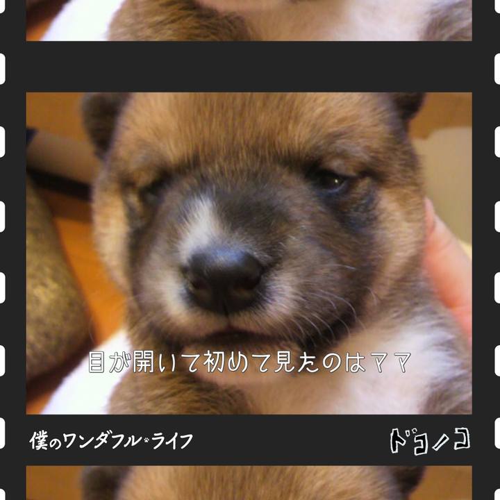 D09aad02 f9d4 4679 a2a4 e84c6206cab6