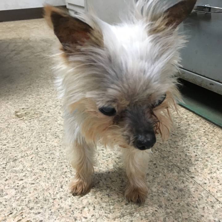 D09b0c09 963e 4a29 bf6d 3f925f0037d3