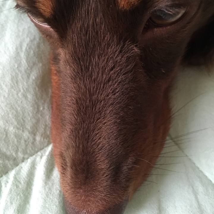 D09b1489 6c11 4ede 8cba b9a757c61c5a