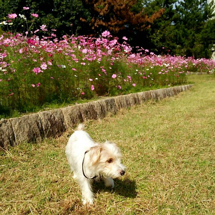 D09b1571 6d0e 4bcc 8ff7 64e5a67c6e4f