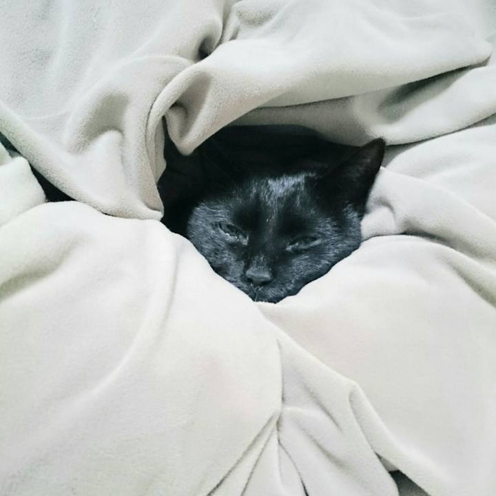 D09c05b5 d8c4 4a6a 8e7a ec3d0fd9f888