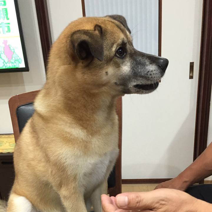 D09c409e 64f9 4ada 8ff6 38bf2bd31d2f