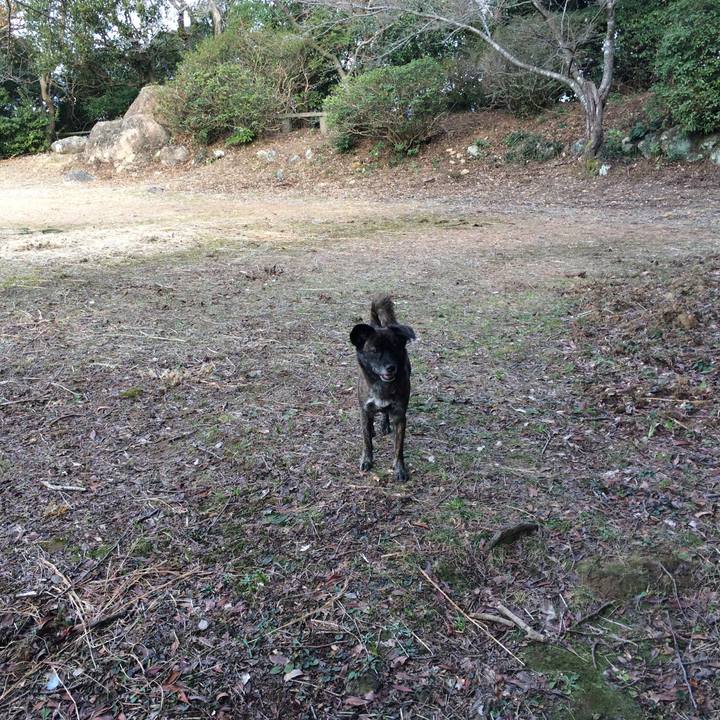 D09c8698 982a 4463 acbc c9d52f89b92f