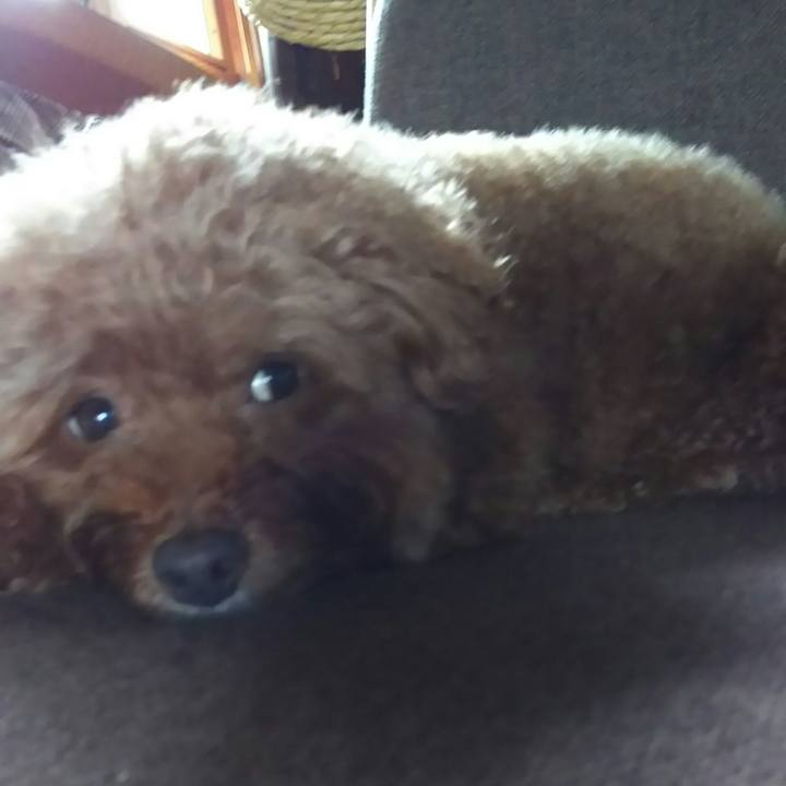 D09ca3b9 9c76 4e48 9b9d 6a5808dbe794