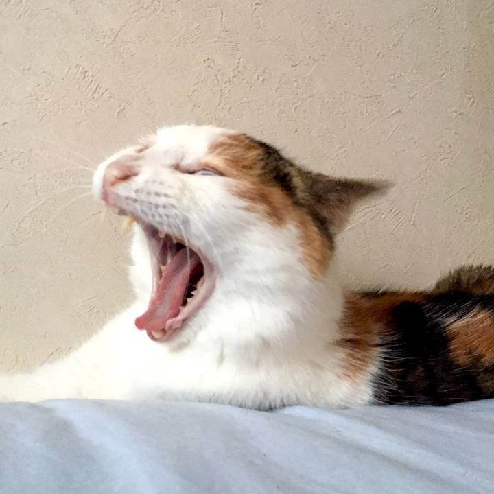 D09e09c9 0f13 43a8 b394 311b14a89cd4