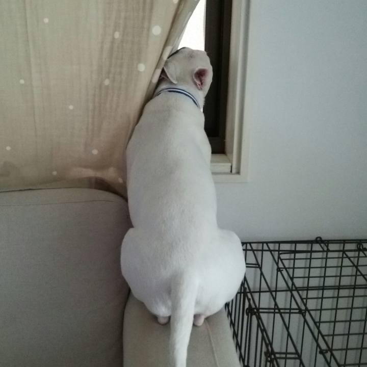 D09e7167 1909 4aa9 8497 fb5ed4d5d39d