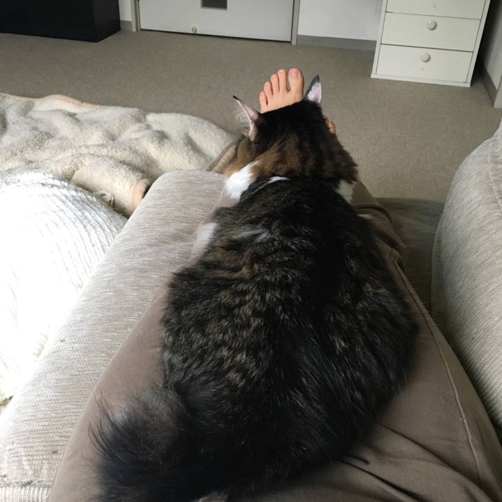 D09f22ba 72a2 4180 b804 cf96143edcdc