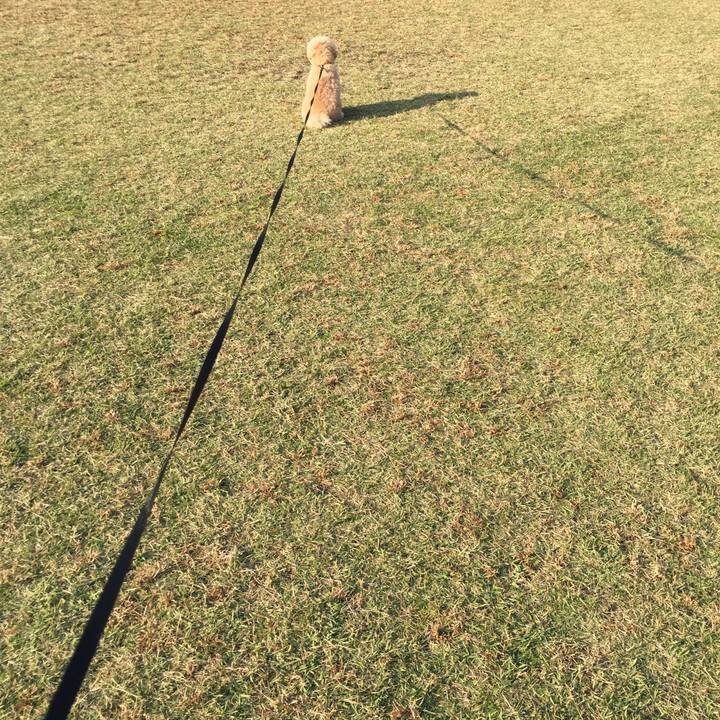 D0a00417 3904 4ef6 a94b ae18f6832638