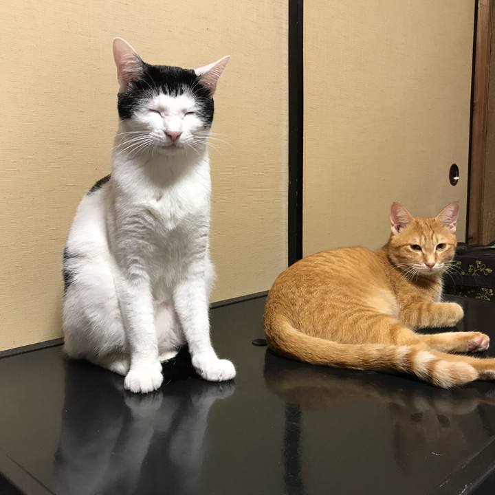 D0a017dc 52d2 49bc a929 221d447ce9d6