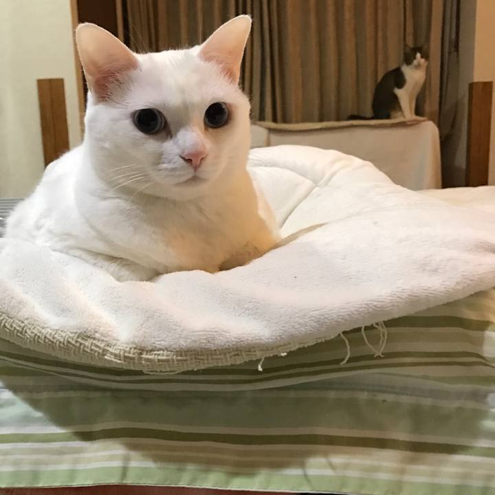 D0a06906 3443 40c2 93ac 14a82b7fb87c