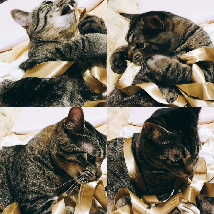 D0a0d8c0 0333 493a 892e 3dc5d30fd1e2