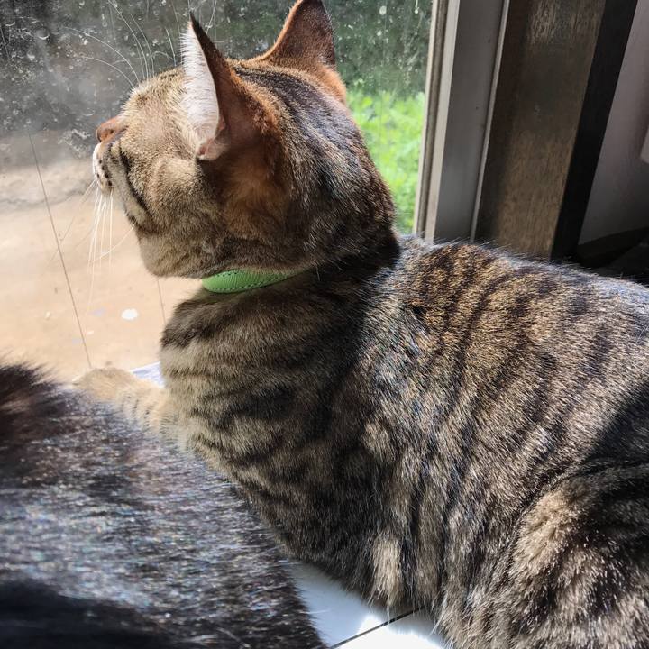 D0a0e41f 6b06 4d05 9b19 235782e53643