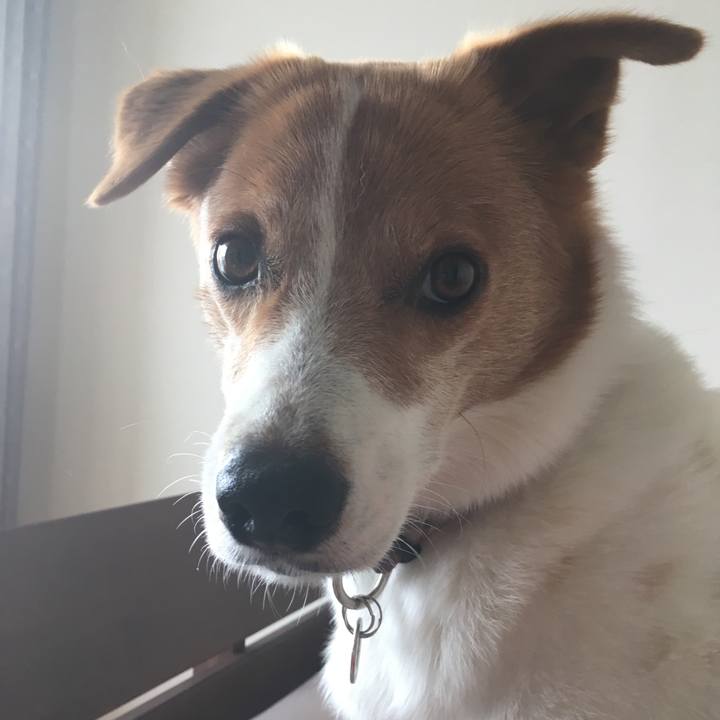 D0a121d5 3a05 4243 9c13 7dbfecde276d