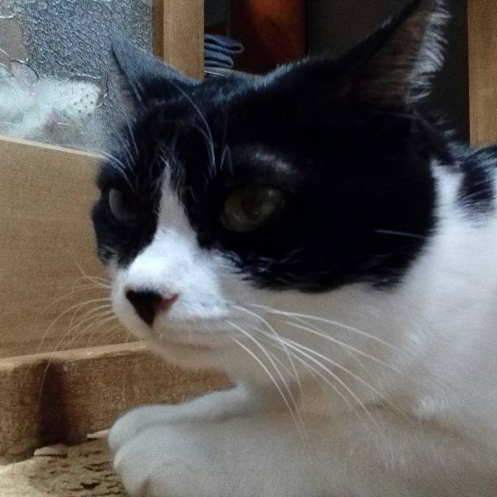 D0a141da 3404 4a95 abce 7bf00e5efeeb