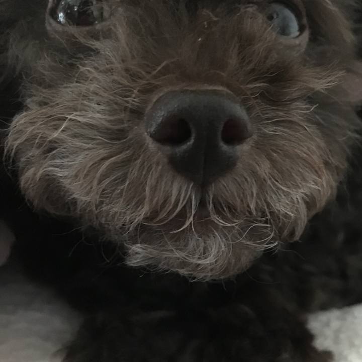 D0a14583 555a 4513 a009 4fa02313b9a5