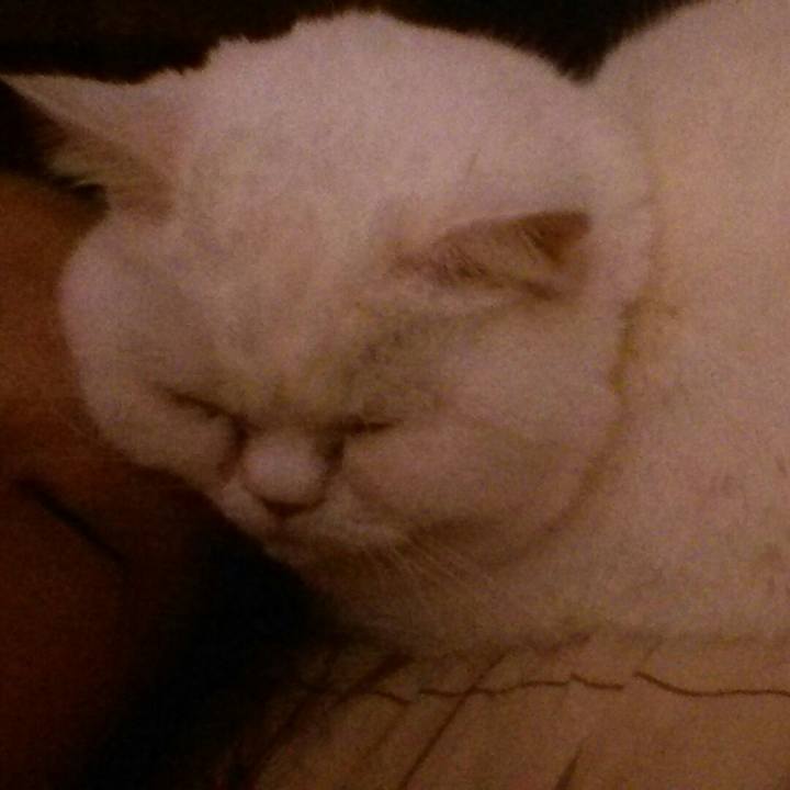 D0a1b996 e0a9 4b01 847f 2c9bb032282c