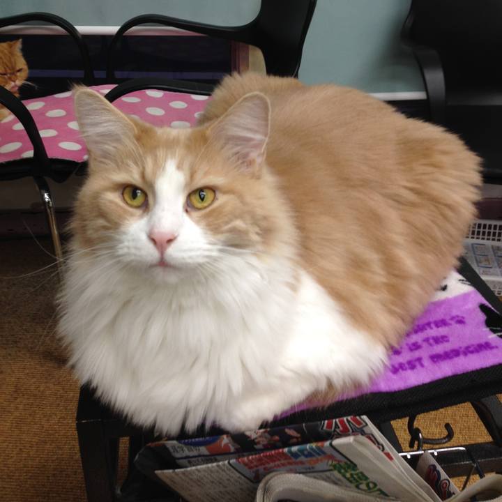 D0a1c47e 079e 4212 a764 aa00c04235d0