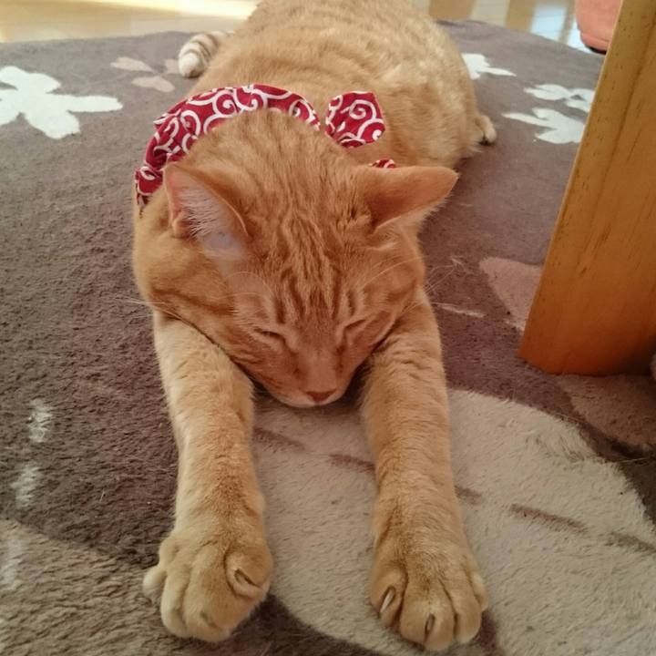 D0a22293 6e7f 40ef a5d0 2e0ec62d1acf