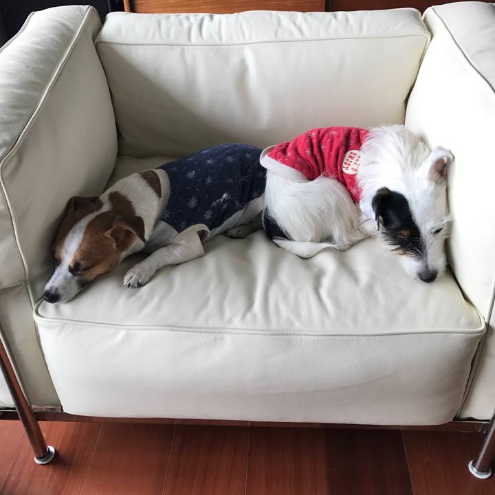 D0a23ab8 1b7e 4ee8 bebf 92d4eeda1303