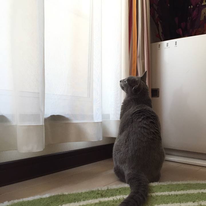 D0a28144 181d 4ba8 9291 2b1d568e35b1