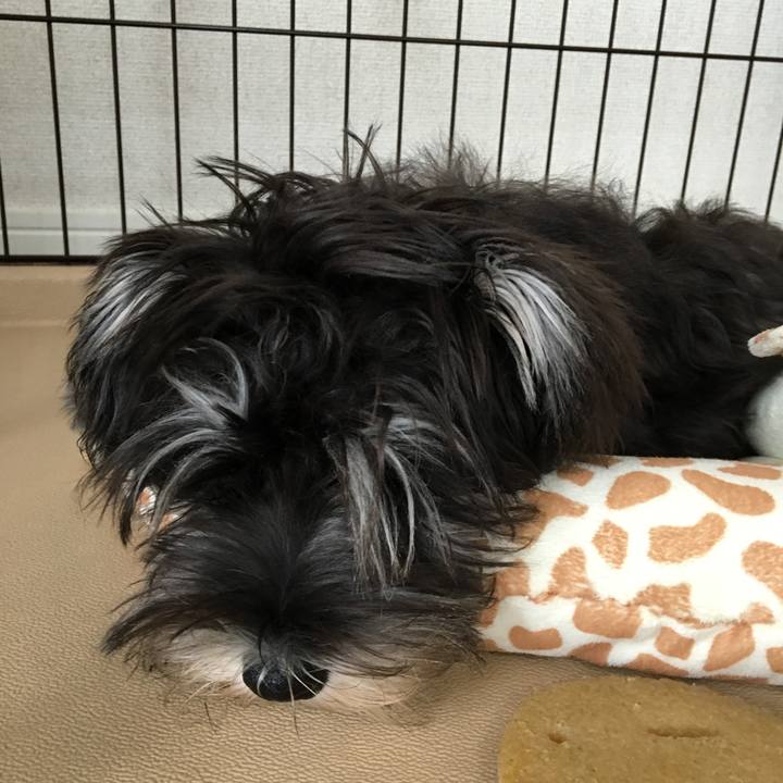 D0a2e763 6766 4aca b980 eb31a59ce785